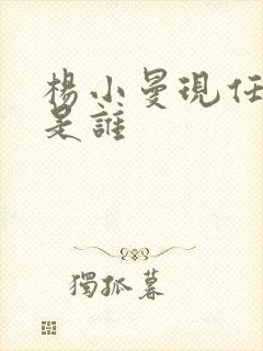 杨小曼现任老公是谁