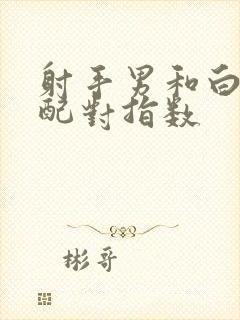 射手男和白羊女配对指数