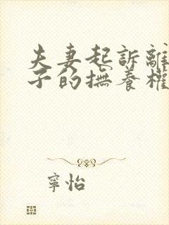 夫妻起诉离婚孩子的抚养权怎么争取