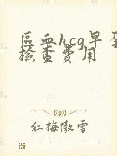 区血hcg早孕检查费用