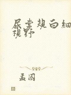 尿常规白细胞满视野