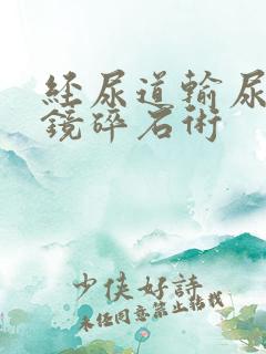 经尿道输尿管软镜碎石术