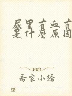 尿里有血有加号是什么原因