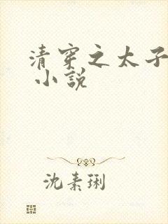 清穿之太子娇妃 小说