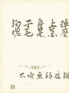 狗子身上掉了一块毛是怎么回事