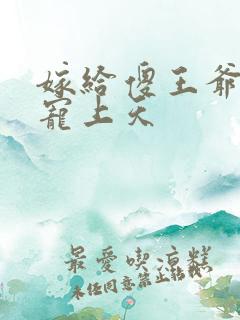 嫁给傻王爷后被宠上天