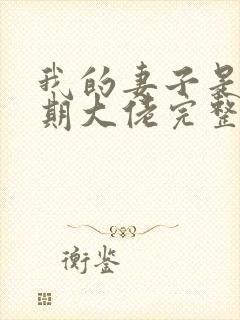 我的妻子是大乘期大佬完整版阅读