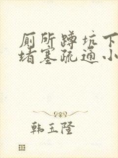 厕所蹲坑下水道堵塞疏通小妙招