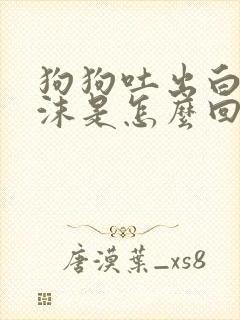 狗狗吐出白色泡沫是怎么回事