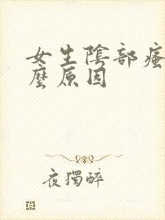 女生阴部瘙痒什么原因