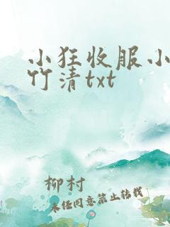 小狂收服小舞朱竹清txt