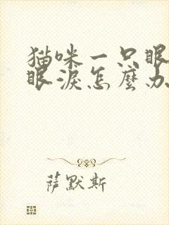 猫咪一只眼睛流眼泪怎么办