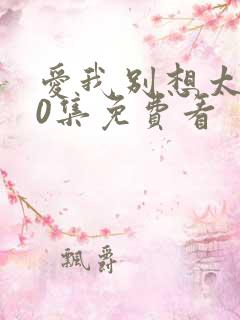 爱我别想太多40集免费看