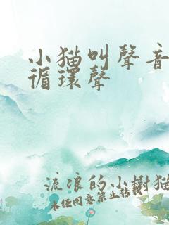 小猫叫声音播放循环声