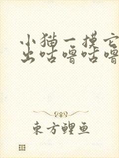 小猫一摸它就发出咕噜咕噜的声音