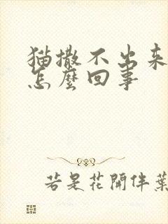 猫撒不出来尿是怎么回事