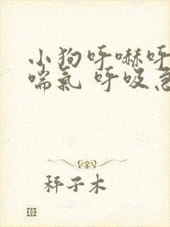 小狗呼哧呼哧的喘气 呼吸急促