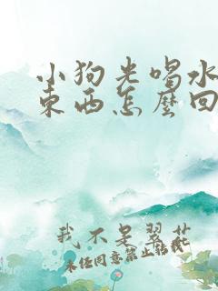 小狗光喝水不吃东西怎么回事