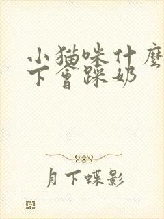 小猫咪什么情况下会踩奶