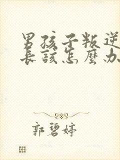 男孩子叛逆期家长该怎么办