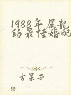 1988年属龙的最佳婚配男