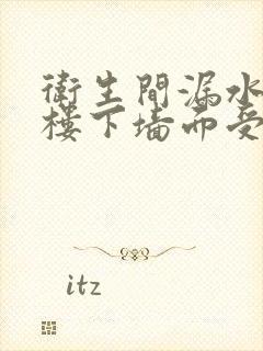 卫生间漏水导致楼下墙面受损