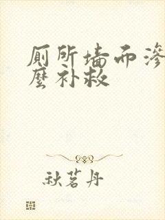 厕所墙面渗水怎么补救