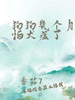 狗狗几个月就不怕犬瘟了