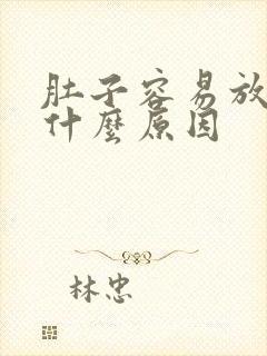 肚子容易放屁是什么原因