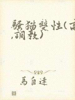 骚猫双性(高h,调教)