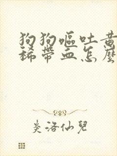 狗狗呕吐黄水拉稀带血怎么回事