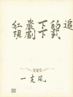 红岩下的追捕电视剧下载