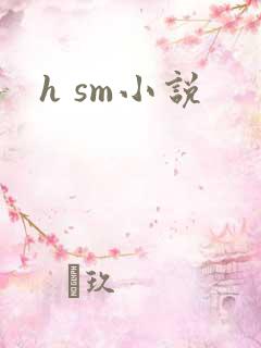 h sm小说