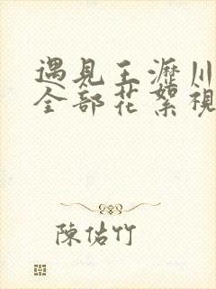 遇见王沥川拍摄全部花絮视频