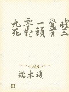 九零一觉醒来和死对头有三个崽