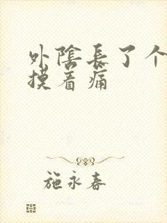 外阴长了个肉粒摸着痛