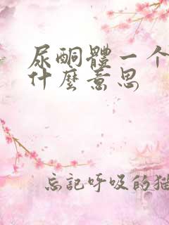 尿酮体一个加号什么意思