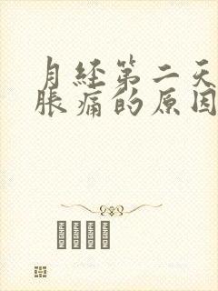 月经第二天胸部胀痛的原因