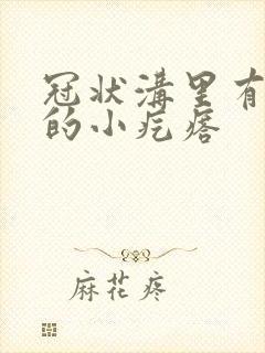 冠状沟里有白色的小疙瘩