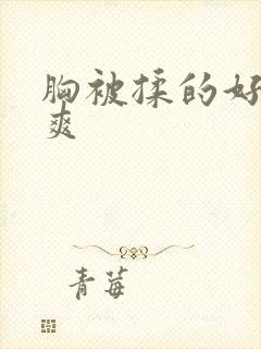 胸被揉的好大好爽