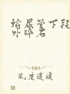 输尿管下段结石外碎石