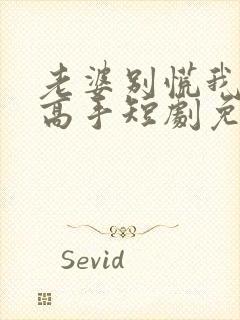 老婆别慌我全家高手短剧免费播放