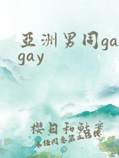 亚洲男同gaygay