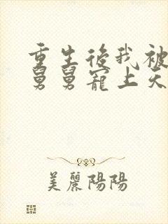 重生后我被渣男舅舅宠上天