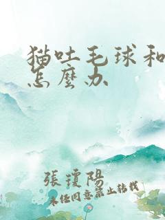 猫吐毛球和黄水怎么办