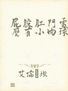 屁股肛门处为什么有小肉球