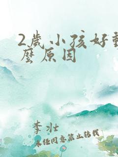 2岁小孩好动什么原因