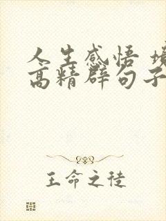 人生感悟 境界高精辟句子