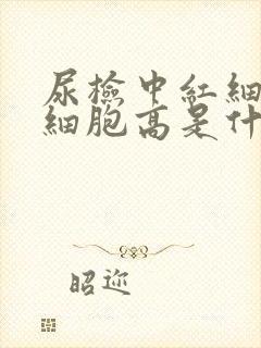 尿检中红细胞白细胞高是什么原因