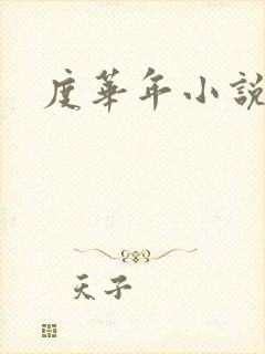 度华年小说原著